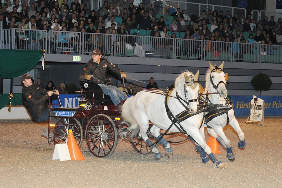 馬展，德國馬展，馬匹比賽