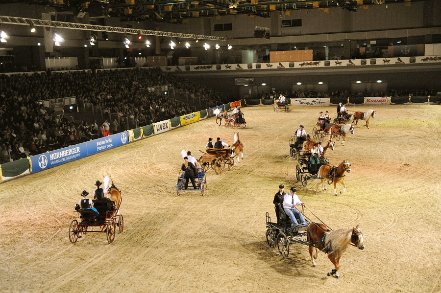 馬展，德國馬展，馬匹比賽