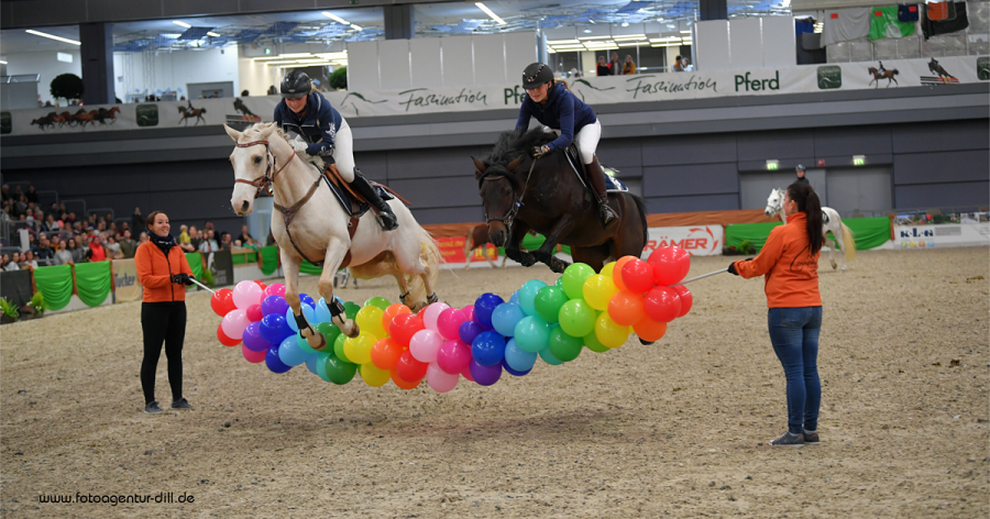 馬展，德國馬展，馬匹比賽